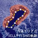 Jelly fish circle